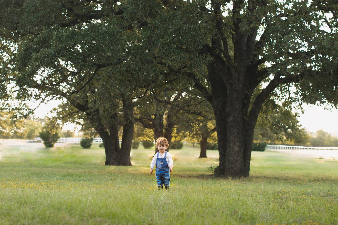 Little boy standing in field with large trees by fine award winning art portrait photographer
