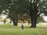 Little boy standing in field with large trees by fine award winning art portrait photographer