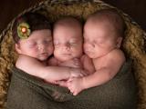 newborn triplets by Dallas Ft. Worth multiples photographer Sunny Mays
